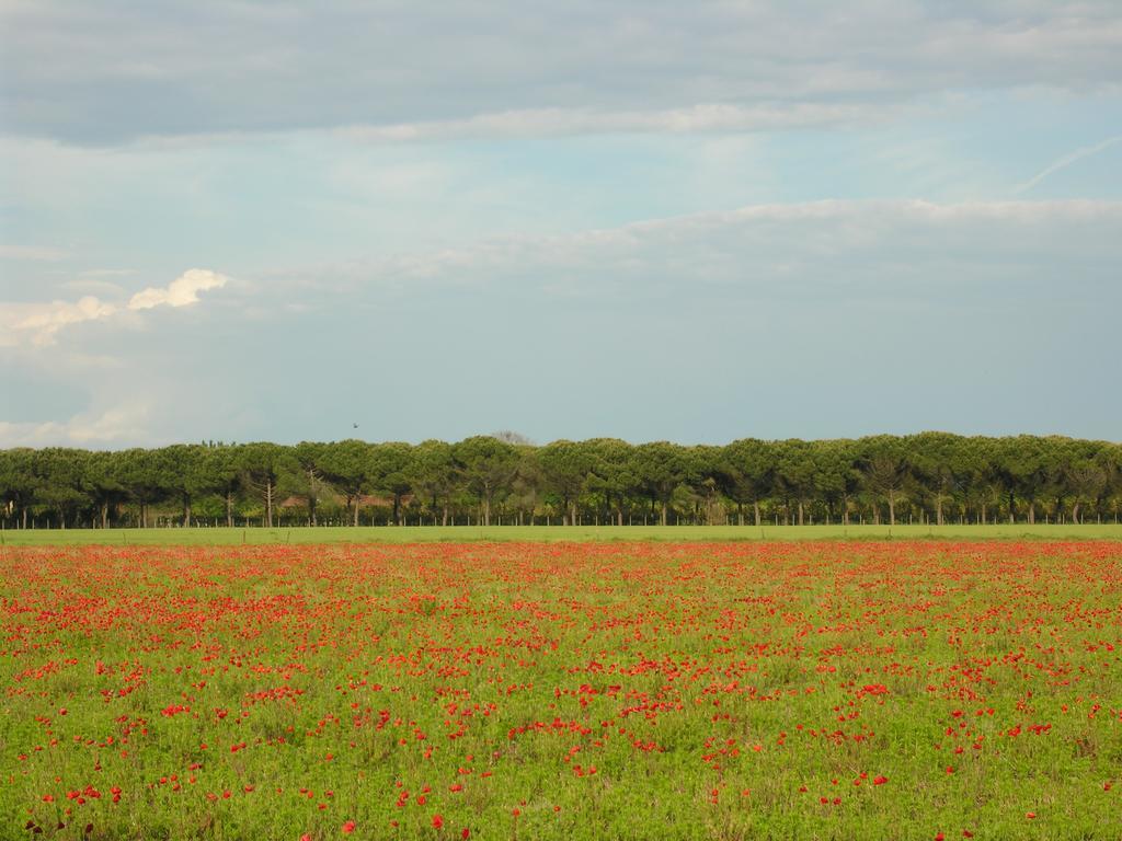 Appartamenti Villaggio San Siro Bibione Exteriör bild